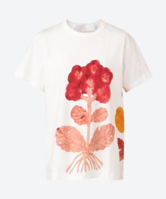 ＜tao (Women)＞綿天竺プリント　Ｆｕｍｉ　Ｉｍａｍｕｒａ　半袖Ｔシャツ　ＴＱ―Ｔ００４―０５１