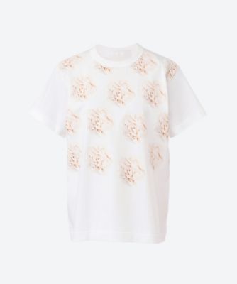 綿天竺プリント 半袖Tシャツ TQ―T011―051 | tao (Women