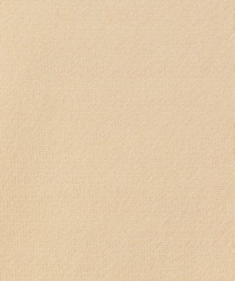 プルオーバー　ＨＩＧＨＴＷＩＳＴ　ＣＯＴＴＯＮ　ＳＩＬＫ　ＳＬＥＥＶＥＬＥＳＳ
