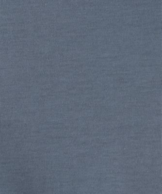 カットソー　４０Ｇ　ＣＯＴＴＯＮ　ＢＩＧ－Ｔ