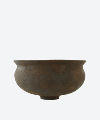 ＜Takahashi McGil (Women)＞Ｓｙｃａｍｏｒｅ　Ｋａｍｅ　ｖｅｓｓｅｌ　Ａ（Ａｃｅｒ　Ｐｓｅｕｄｏｐｌａｔａｎｕｓ）