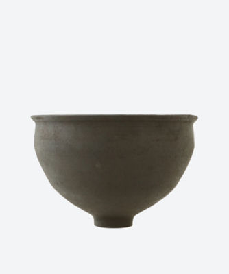 ＜Takahashi McGil (Women)＞Ｓｙｃａｍｏｒｅ　Ｋａｍｅ　ｖｅｓｓｅｌ　Ｂ（Ａｃｅｒ　Ｐｓｅｕｄｏｐｌａｔａｎｕｓ）