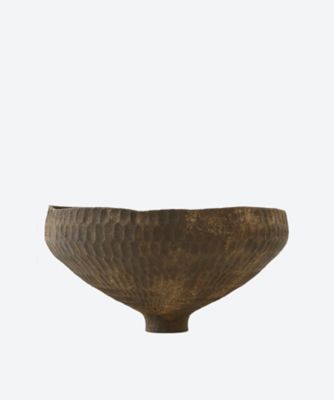 Ｓｙｃａｍｏｒｅ　Ｈａｃｈｉ　ｖｅｓｓｅｌ　Ｂ（Ａｃｅｒ　Ｐｓｅｕｄｏｐｌａｔａｎｕｓ）