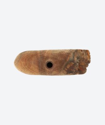 Ｅｌｍ