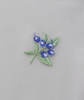 スカート　ＬＦ　ＢＬＵＥＢＥＲＲＹ　ＥＭＢＲ　ＳＫ　８８２４―２９９―００３２