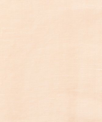 ブラウス　Ｒａｍｉｅ　Ｌｉｎｅｎ　Ｂａｎｄｃｏｌｌａｒ　２５―０５０―ＨＬ―８１００―１０