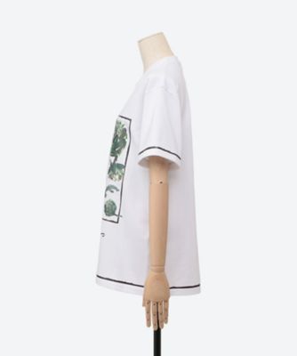 Ｔシャツ