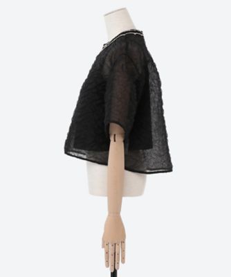 Ｆｒａｇｉｌｅ　ｔｏｐ