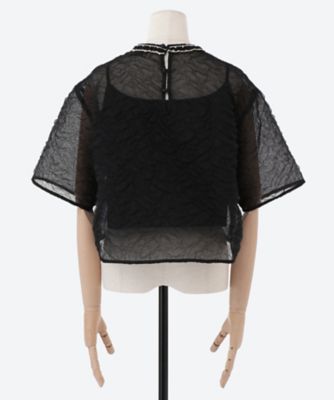 Ｆｒａｇｉｌｅ　ｔｏｐ