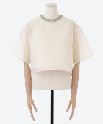 Ｆｒａｇｉｌｅ　ｔｏｐ