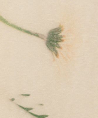 Ｓｏａｋ　ｆｌｏｗｅｒ　ａｓｙｍｍｅｔｒｙ　ｐａｎｅｌ　ＰＯ　ＢＥ
