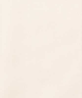 ＳＨＩＲＲＥＤ　ＶＯＩＬＥ　ＤＲＥＳＳ