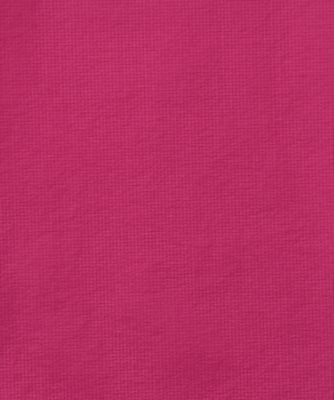 ＭＩＣＲＯ　ＲＩＰＳＴＯＰ　ＴＯＰ
