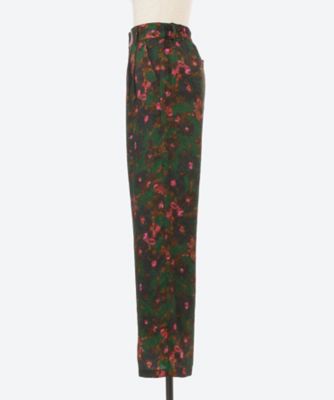 Ｆａｕｖｅ　ｆｌｏｗｅｒ　ｐａｎｔｓ