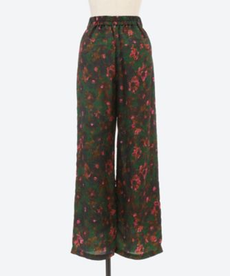 Ｆａｕｖｅ　ｆｌｏｗｅｒ　ｐａｎｔｓ
