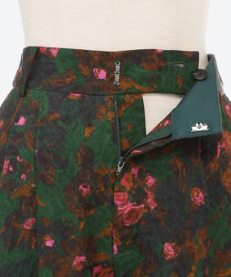 Ｆａｕｖｅ　ｆｌｏｗｅｒ　ｐａｎｔｓ