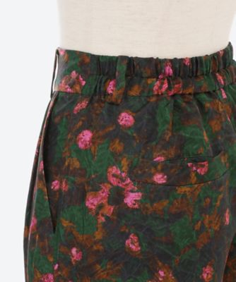 Ｆａｕｖｅ　ｆｌｏｗｅｒ　ｐａｎｔｓ