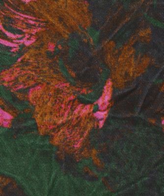 Ｆａｕｖｅ　ｆｌｏｗｅｒ　ｐａｎｔｓ