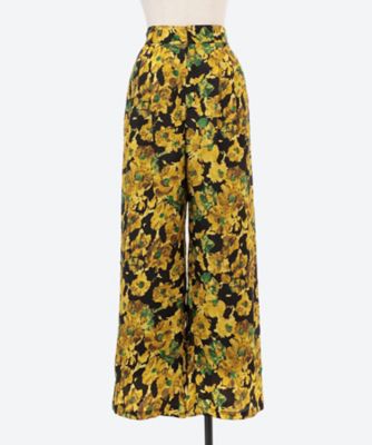 Ｆａｕｖｅ　ｆｌｏｗｅｒ　ｐａｎｔｓ