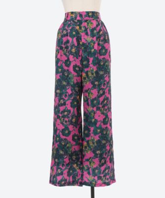 Ｆａｕｖｅ　ｆｌｏｗｅｒ　ｐａｎｔｓ