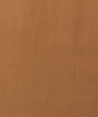 ＴＡＳＬＡＮ　ＴＷＩＬＬ　ＤＲＥＳＳ