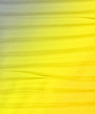 スカート | julia heuer (Women)/ユリア ホイヤー | 三越伊勢丹