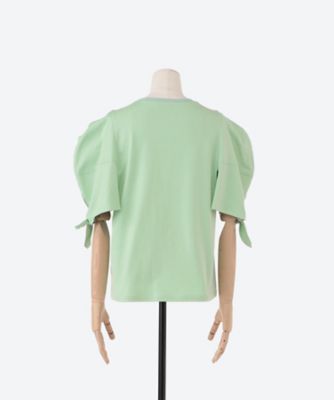 Ｌｏｔｕｓ　ｔｏｐ
