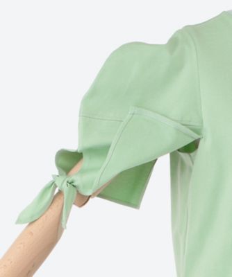 Ｌｏｔｕｓ　ｔｏｐ