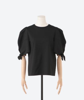Ｌｏｔｕｓ　ｔｏｐ