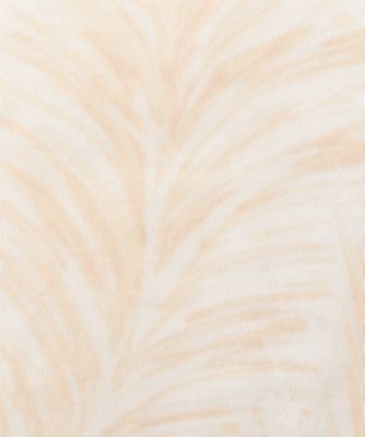 ワンピース　２４ＭＳ／２４ＥＪＲＯ８２０ＶＩ０２６９