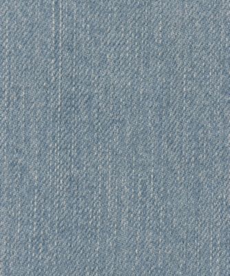 Ｔｈｅ　Ｌａｂｒａｄｏｒｉｔｅ　Ｄｅｎｉｍ　Ｓｋｉｒｔ１　ＴＥＭＴ－ＳＫ０１３－ＳＯ３Ｙ