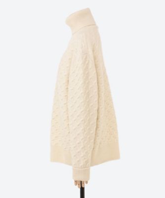 Ｃａｂｌｅ　Ｃｈｅｃｋ　Ｐｕｌｌｏｖｅｒ