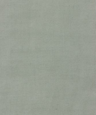 ＣＯＴＴＯＮ　ＬＡＷＮ　ＳＨＩＲＴ　２５ＳＳ／１５２３４