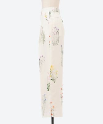 Ｓｃｈｅｉｎ　ｐａｎｔｓ　ＩＶ　ＡＲ２５３６―ＩＶ