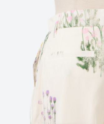 Ｓｃｈｅｉｎ　ｐａｎｔｓ　ＩＶ　ＡＲ２５３６―ＩＶ