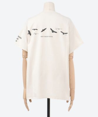 Ｔシャツ　ＨＶ―ＴＳ―４７