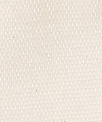 スカート　ＥＶＡＮＧＥＬＩＮＥ　／　２５１ＥＶＢ