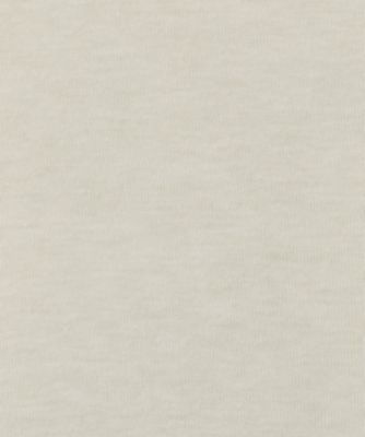 Ｃｏｔｔｏｎ／Ｓｉｌｋ　Ｂａｓｉｃ　Ｔ―ｓｈｉｒｔ　ＢＡ０１―ＣＲ３５