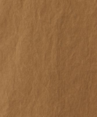 ＬｈａｓａＴｒｅｎｃｈ　　ＣＴ００５