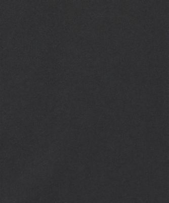 Ｌｉｅｓｅ　ｐａｎｅｌ　ｓｌｅｅｖｅ　ｓｈｉｒｔ　ＢＫ　ＡＰ２５２３―ＢＫ