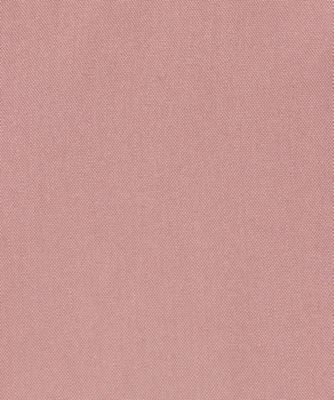 Ｐ５２Ｍｉｃｈｅｌｉｎｅ　ｓｈｉｒｔ　ＰＫ　ＡＰ２５４１―ＰＫ