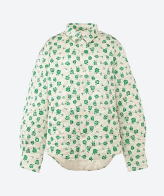 flavia 象 flavia 象