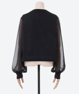 SHEER SLEEVES CREW NECK CROPPED