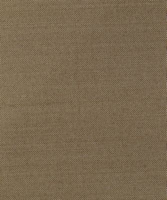 Ｔ／Ｗ　ＷＲＡＰ　ＢＲＡＺＥＲ　２６ＳＳ／１７５６４