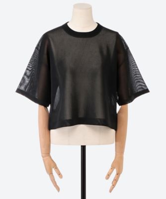 SHEER CROPPED CREW NECK KNIT 26SS