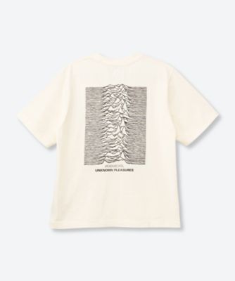カットソー 6S／bROOTS25S33S26JD001 | blurhms