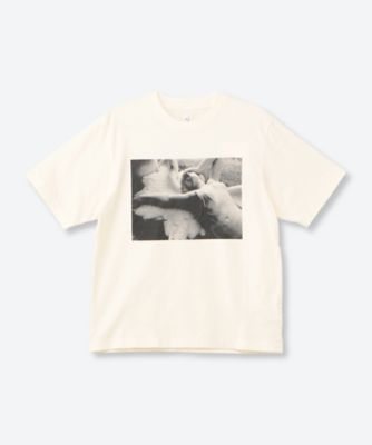 カットソー 6S／bROOTS25S33S26JD006 | blurhms