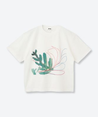 NTN (Women)/エヌティーエヌ カットソー　６Ｓ／Ｎ００６―０１１１４４