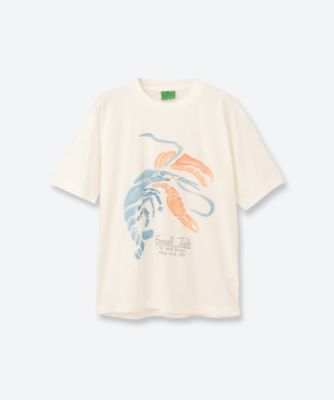 SMALL TALK STUDIO (Women)/スモールトークスタジオ カットソー　ＳＴ　６Ｓ／ＳＳ２５ＳＴ５００Ｄ