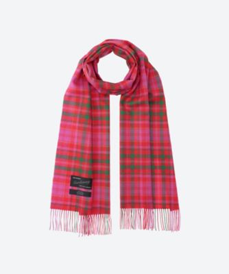 paranoid spiky scarf スカーフ マフラー tttmsw Queen scarf 26FW／710083 | Magniberg (Women